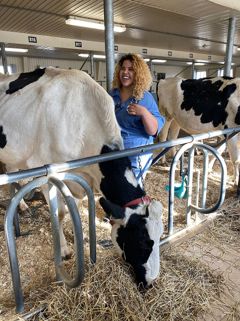 Animal Health Summit