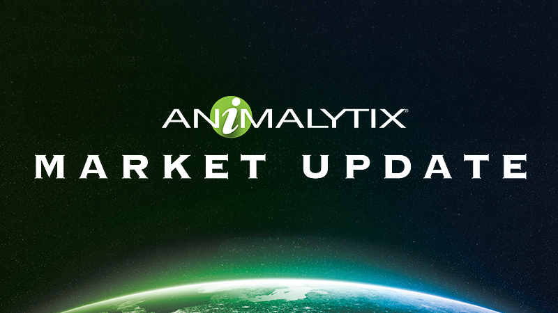 Animalytix Market Update graphic over glowing globe