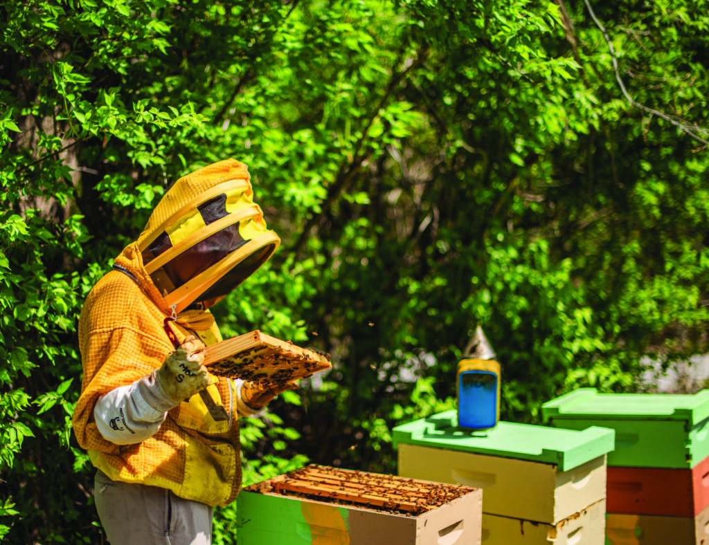 A beekeeper at Messner Bee Farm.