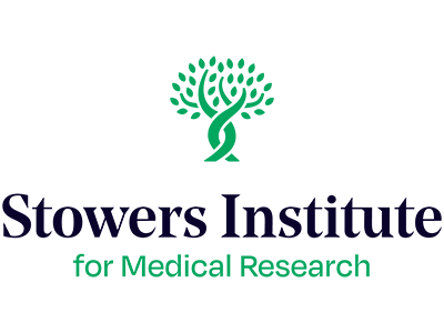 Stowers Institute for Medical Research