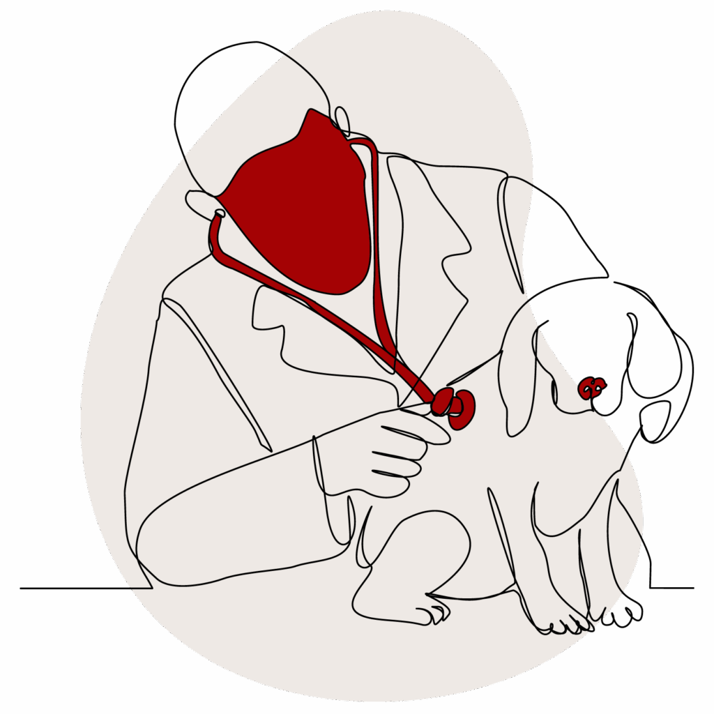 Illustration of male vet checking on a small dog