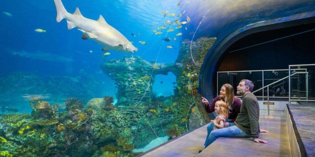 Mother and father with little girl looking at a shark in a large aquarium