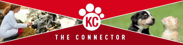 The Connector, KC Animal Health Corridor logo, woman feeding a cow, a puppy and a kitten