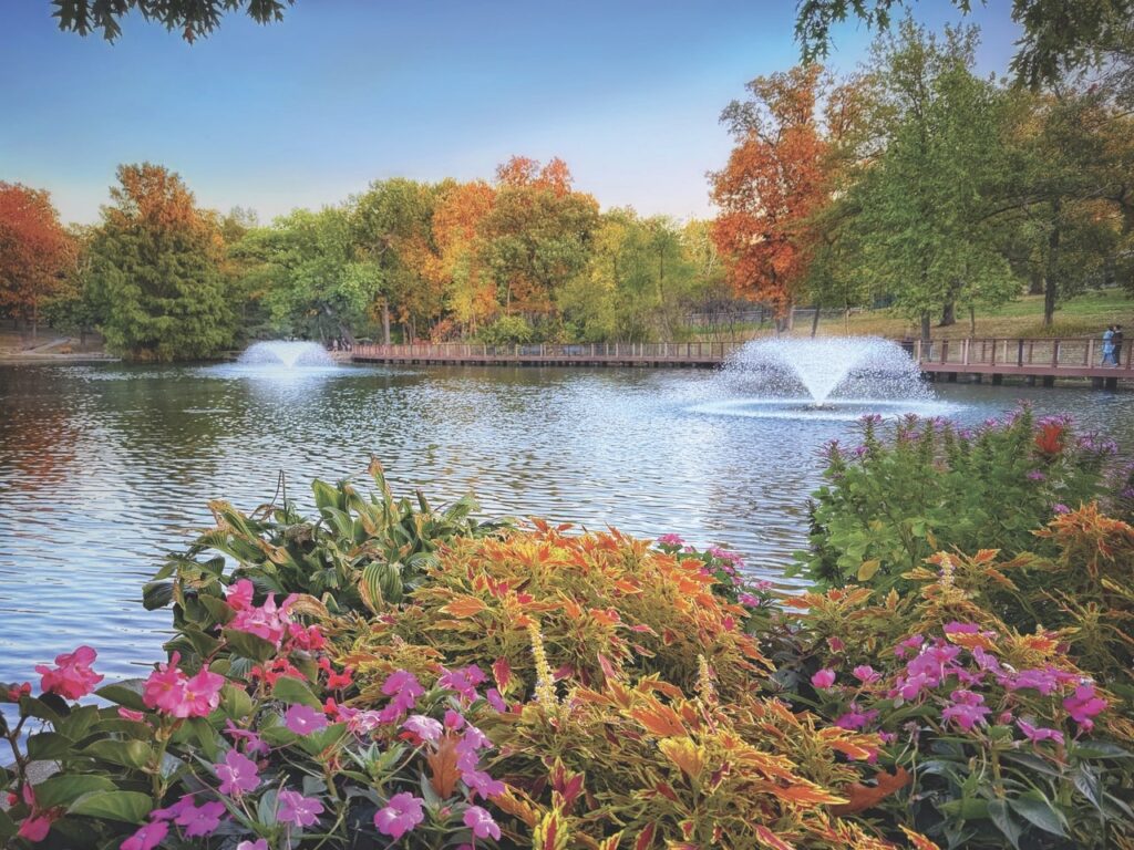 Autumn flowers and foliage at Antioch Park.