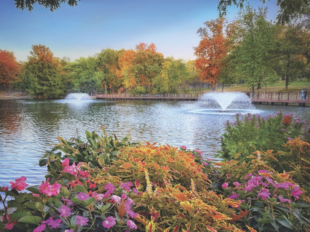 Autumn flowers and foliage at Antioch Park.