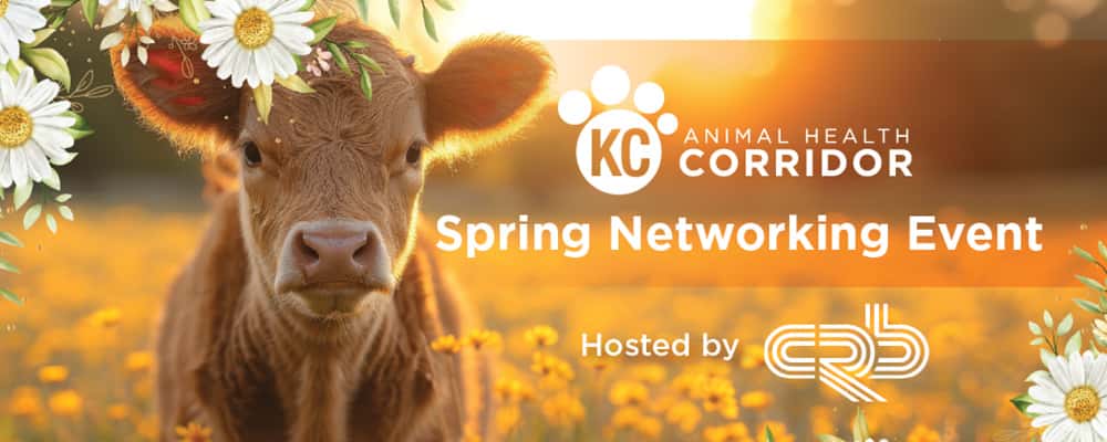 Spring Network Event
