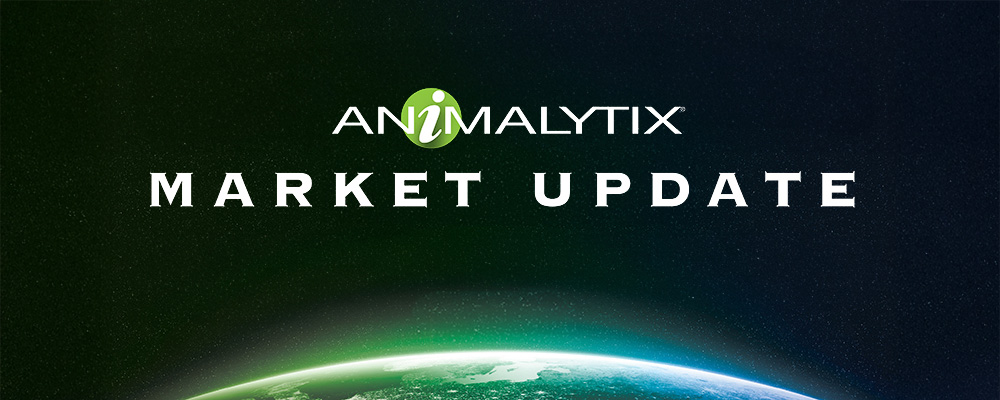 Aniimalytix Market Update